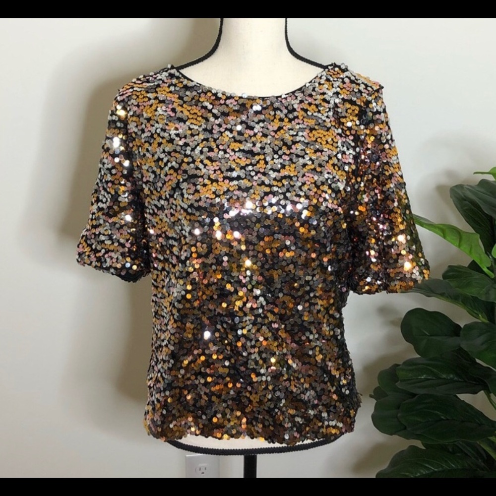 H&M sequin top (Medium)